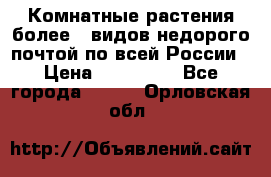 Комнатные растения более200видов недорого почтой по всей России › Цена ­ 100-500 - Все города  »    . Орловская обл.